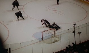 Buffalo Sabres Mascot Sabretooth, History, Reception